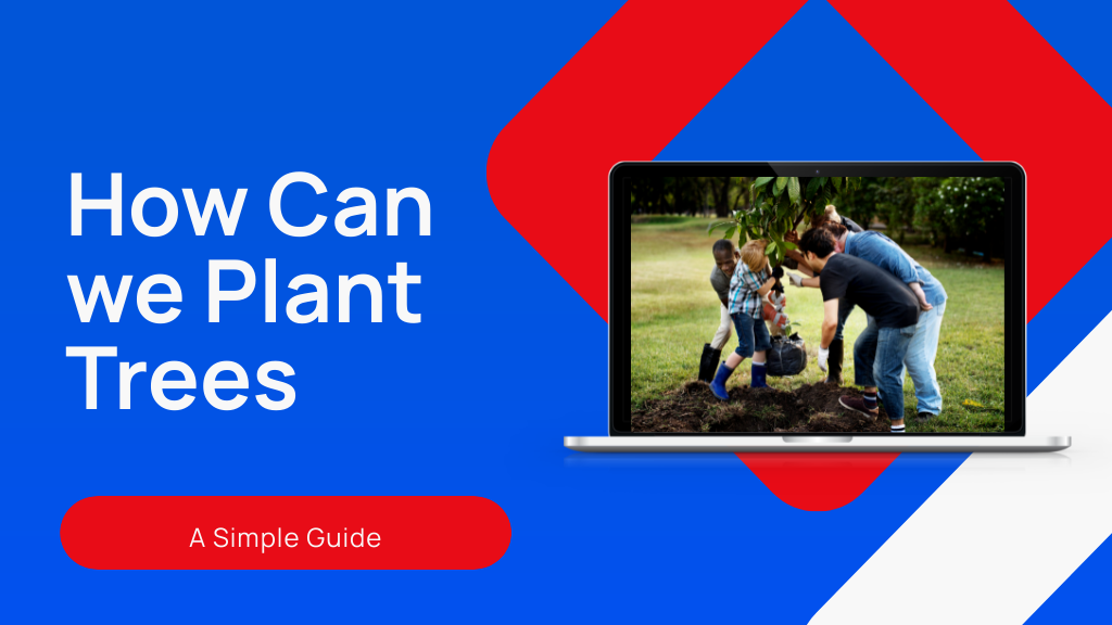 10 Essential Steps We Follow to Plant Trees Successfully