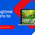 5 Must-Plant Springtime Flowers for a Vibrant Garden