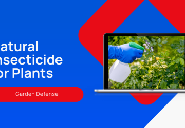 7 Effective Natural Insecticides for Plants