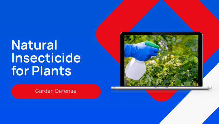 7 Effective Natural Insecticides for Plants