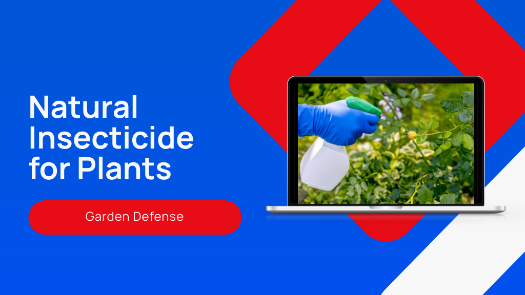 7 Effective Natural Insecticides for Plants