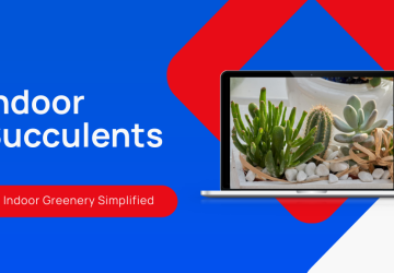 7 Indoor Succulents for Low-Light Conditions