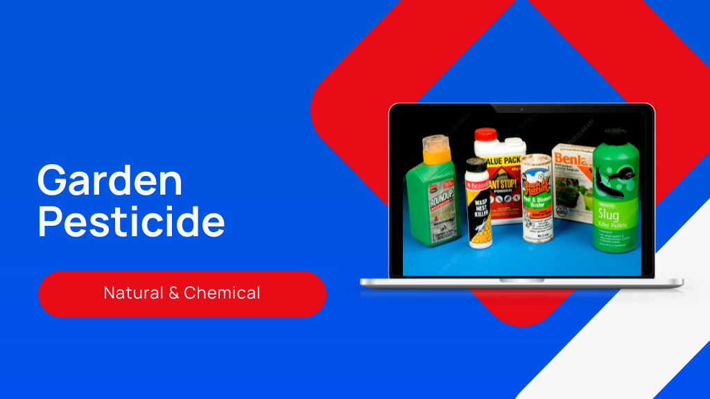 Best Garden Pesticides for Home Use