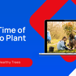 Best Time of Year to Plant Trees for Growth?