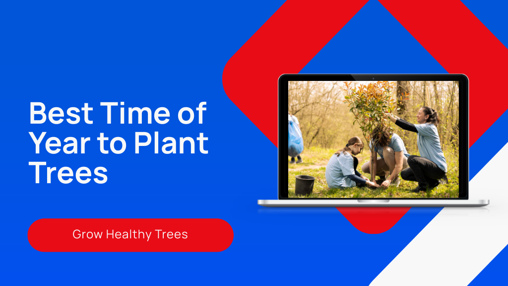 Best Time of Year to Plant Trees for Growth?