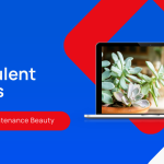 What Are Succulents Plants and Why Are They Popular?
